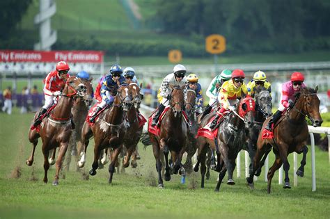 singapore horse racing odds today|Singapore Turf Club.